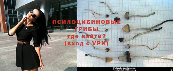 ALPHA PVP Алексин