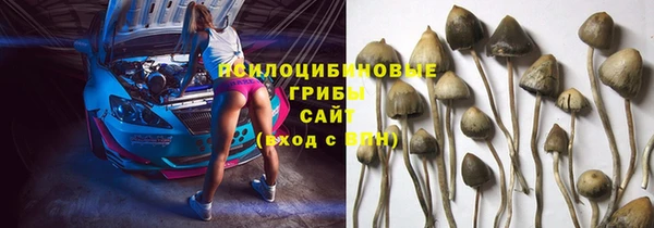 ALPHA PVP Алексин