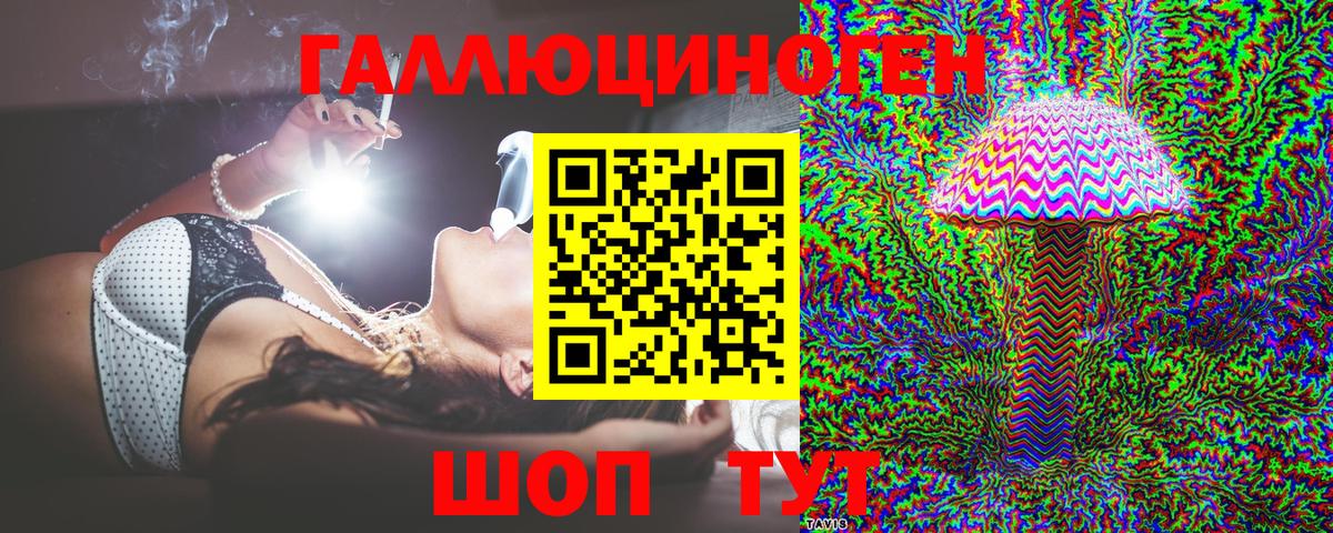 Галлюциногенные грибы Psilocybine cubensis Слободской